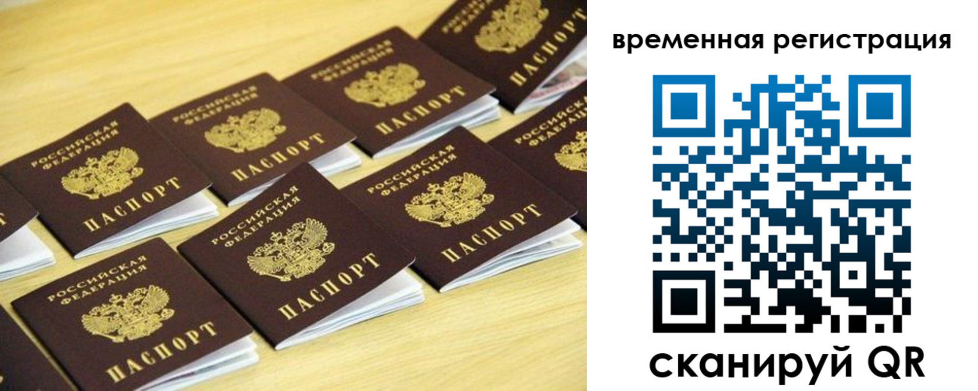 купить прописку в Электрогорске